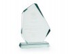Glass trophy Lena in Gift Box