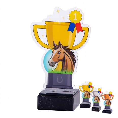 Equestrian cup acrylic award