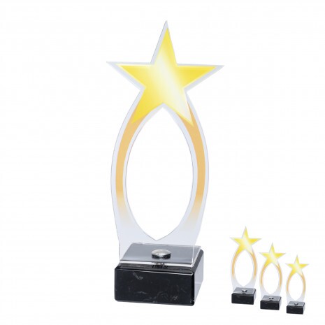 Star acrylic award