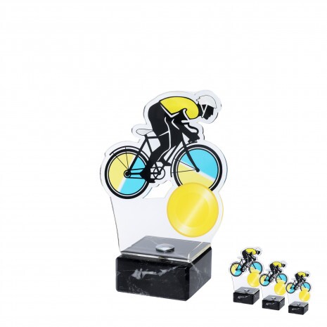 Bicycle acrylic award