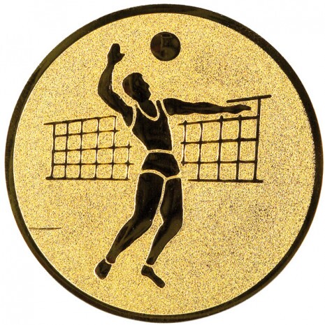 Volleyball (men) medal insert gold 50 mm