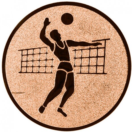 Volleyball (men) medal insert bronze 25 mm