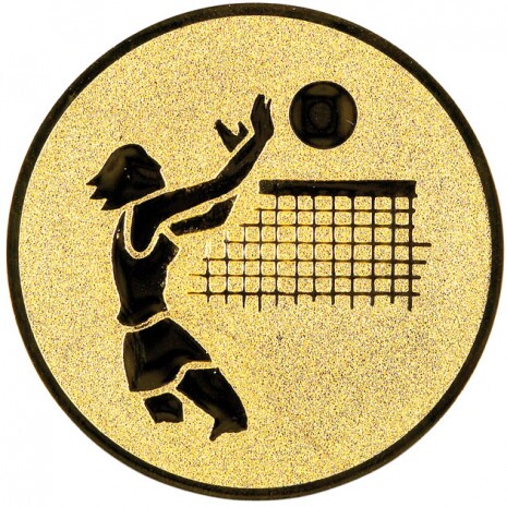 Volleyball (Women) medal insert gold 50 mm
