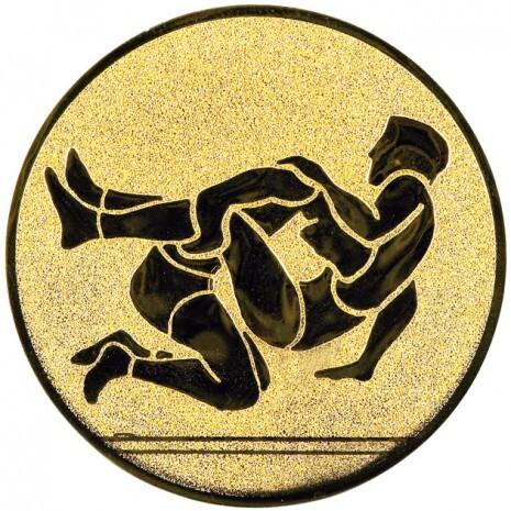 Wrestling medal insert gold 50 mm