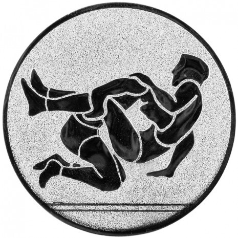 Wrestling medal insert silver 25 mm