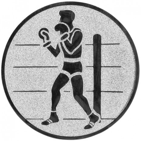 Boxing medal insert silver 25 mm