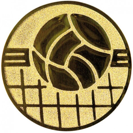 Volleyball medal insert gold 25 mm