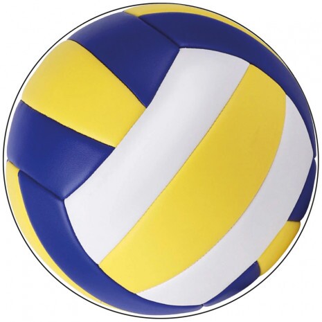 Volleyball medal insert 50 mm