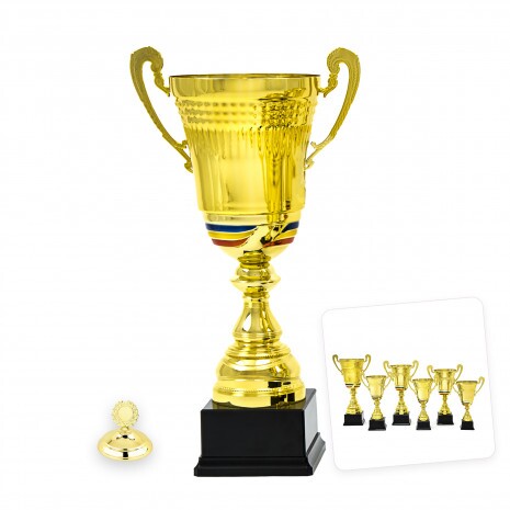 Romanian national cup Felicia