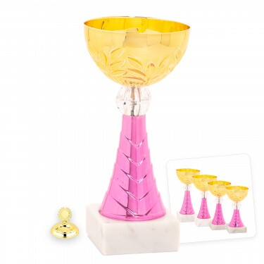 Economy cup Kassandra D