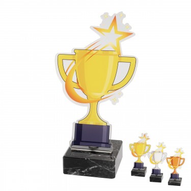 Star cup acrylic award