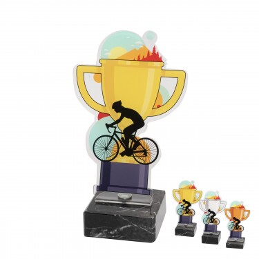 Cycling cup acrylic award