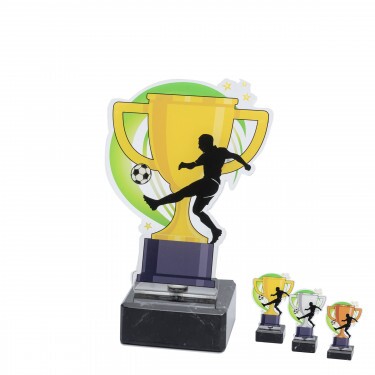 Football cup acrylic award