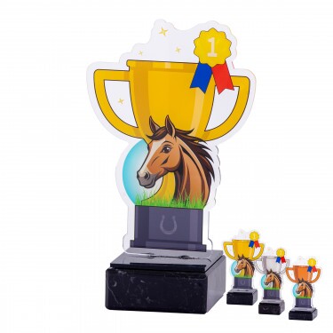 Equestrian cup acrylic award