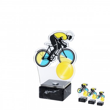 Bicycle acrylic award
