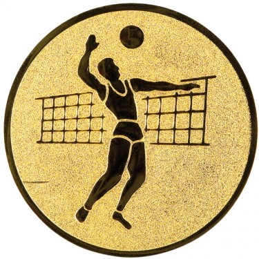 Volleyball (men) medal insert gold 50 mm
