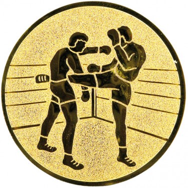 Kickboxing medal insert gold 50 mm