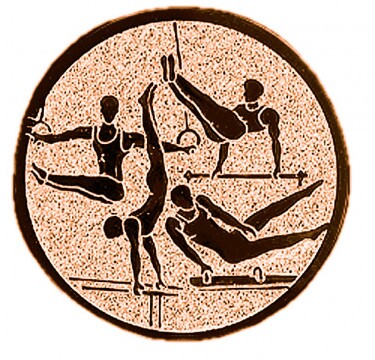 Gymnastics medal insert bronze 25 mm