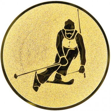 Alpine skiing medal insert gold 25 mm