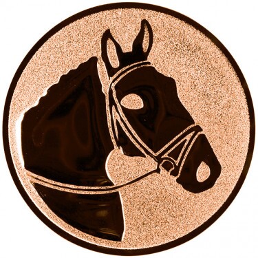 Rider (horse) medal insert bronze 25 mm