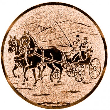 Rider (driving) medal insert bronze 50 mm