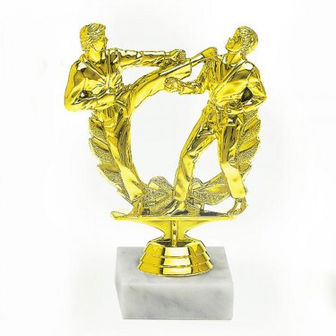 Karate (pairs) gold medal