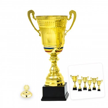 Romanian national cup Felicia