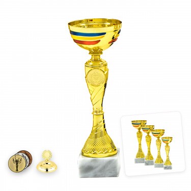 Romanian national cup Florina