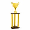 Column trophy Lomnic C