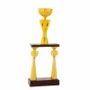 Column trophy Kerinci C