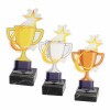 Star cup acrylic award