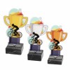 Cycling cup acrylic award