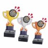 Darts cup acrylic award