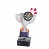 Darts cup acrylic award