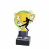Football cup acrylic award