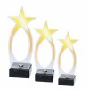 Star acrylic award