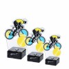 Bicycle acrylic award