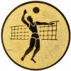 Volleyball (men) medal insert bronze 25 mm