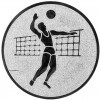 Volleyball (men) medal insert bronze 25 mm