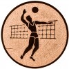 Volleyball (men) medal insert bronze 25 mm