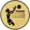 Volleyball (Women) medal insert gold 25 mm