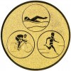 Triathlon medal insert gold 50 mm