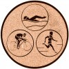 Triathlon medal insert gold 50 mm