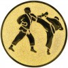 Karate medal insert bronze 50 mm