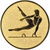 Gymnastics (men) medal insert gold 25 mm