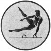 Gymnastics (men) medal insert gold 25 mm