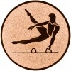 Gymnastics (men) medal insert gold 25 mm