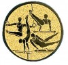 Gymnastics medal insert bronze 25 mm