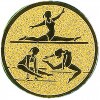 Gymnastics (women's all-around) medal insert gold 25 mm