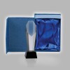 Crystal trophy Jane in gift box